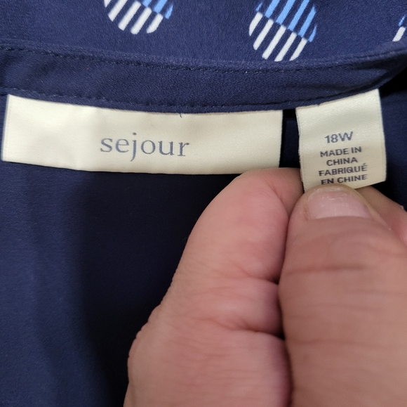 Sejour Chiffon Sleeveless Blouse - Picture 8 of 9